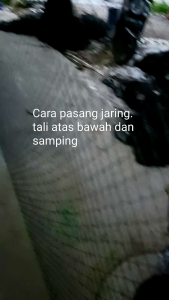 jaring pagar murah ayambebek. SUDAH DIPASANGKAN TALI ATAS BAWAH 2MX50M .BACA DISKRIPSI.