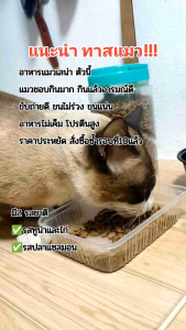 สุดคุ้ม 4กิโล ทูน่าและไก่ 2 ถุง + แซลมอน2 ถุง อาหารแมวเลน่า ควบคุมความเค็ม โปรตีนสูง