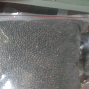 Hạt giống Mồng tơi tỉ lệ đạt cao