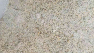 tepung kacang ijo murni untuk bahan makanan atau pakan