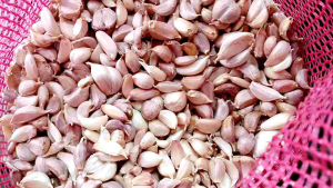 กระเทียมกลีบไทย 500กรัม