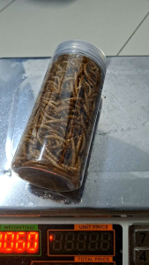 Fish food / hamster foods / bird food dehydrate ulat roti  30gram - 60gram