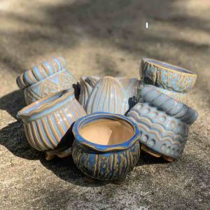 Bộ 6 chậu trồng cây sen đá/xương rồng nhập Trung tông xanh