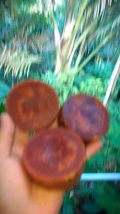 Gula Aren Kawung 100% Organik 5 Kg