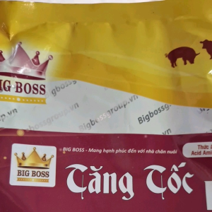 Tăng tốc heo 1 kg bung mông nở vai hồng da mượt lông