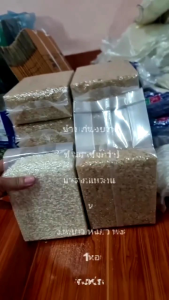 ข้าวฮาง ต้นฤดู ข้าวนาแซง// ข้าวฮางไก่น้อย 🌾🌾ขายส่ง หากินได้ยากมาก 1 ปีมีครั้ง #สินค้าตามฤดูกาล