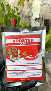 Pupuk Cabai Booster 250gram untuk Hasil Maksimal