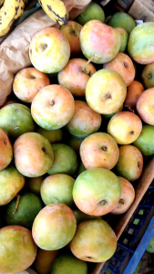 Mangga Apel Ready & Gedong Apel Gincu 1kg