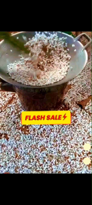 ข้าวตอก ออรแกนิก คั่วสดใหม่ พิษ100% หอมๆ 100กรัม