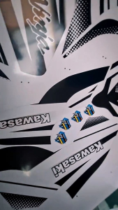 Motorstar GPR 250 Z200S Z200II Xplorer laminated decals