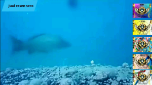 Essen ikan mas bubble gum 30 ml/dewa essen