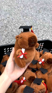 LELE (1pc)CHEAPEST Patung Kapibara Konvo 13cm Capybara Plush Toy Cabybara Convo Graduation Doll 水豚卡比巴拉毕业玩偶