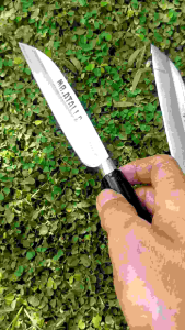 PISAU DAPUR DAN SEMBELIH CAP GARPU MODEL CUCUK MANIS BAHAN PER BAJA ASLI KUALITAS TERBAIK TOP A1