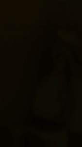 Lokies Pet Stain Eco Friendly Enzyme Urine & Odor Eliminator for Cats & Dogs 500ml