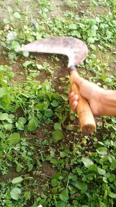 arit cap bonin super premium Garansi Pusat Layanan Resmi Alat Babat Manual Pruner Berkualitas Tinggi Konsumsi Daya Manual - Lazada