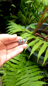 20ตัว ช้างจิ๋ว ตุ๊กตาช้าง ช้างเซรามิค ช้างมงคล ช้างแก้บน ช้างน้อยน่ารัก ช้างน้อยแต่งบ้านแต่งสวน