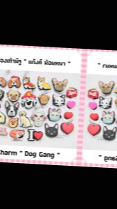 JBS 🌈👠🐶 😸ตัวติดรองเท้ามีรู “ แกงค์ น้อนนนน หมา แมว ” - 👠🌈✨ Shoe Charm “ Dog & Cat Gang” all งานดี การันตีคุณภาพ ราคาดี