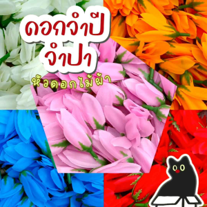 ดอกจำปา ดอกจำปี