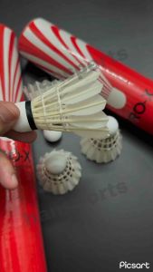 Quả cầu lông Ba Sao Pro X chính hãng (12 quả)