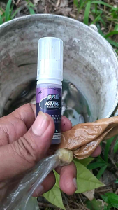 Essen Ikan Wader Sungai Paling Gacor dan Ikan Tawes Sungai Liar Paling Jitu