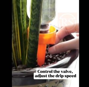 ❤6pc Automatic Plant Watering System❤ Automatic Drip Irrigation Watering Device Plant Waterer❤️SG Seller❤️