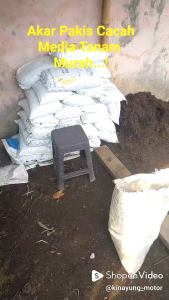 Akar Pakis Steril 1kg Cacah Media Tanam Anggrek Berkualitas