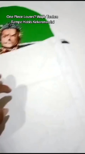 Kaos Roronoa Zoro Story - Nimea