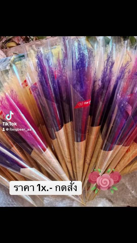 ช่อดอกไม้แห้ง สแตติส (ขั้นต่ำ10ชิ้น) ช่อดอกไม้วันจบ รับปริญญา พร้อมส่ง