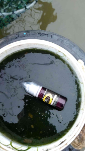 Essen GM black mamba 15ml sepesial ikan mas & nila  indukan dan rame