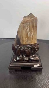 TSK Crystal  SHY016天然树化玉 黄里透白 色泽圆润 特制雕刻实木底座 Natural Tree Fossil Jade