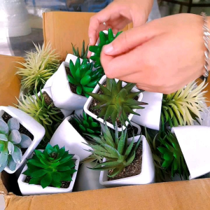 Chậu sen đá Mini trang trí không gian nhỏ decor quán cafe-bàn học-bàn máy tính.../Cây giả kèm chậu