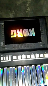 pelindung layar keyboard