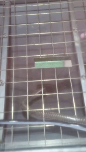 ชุดปืนยิ่งทรายช้สำหรับงาน พ่นลอกใช้สำหรับการผิวชิ้นงานก่อน เหมาะสำหรับมือใหม่และมืออาชีพ ทำงานได้เร็วทราย ออกไม่สะดูดด