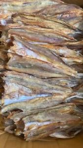 ปลาช่อนทะเล ไชร์กลาง ขนาด 500 กรัม ปลาขนาดกลาง เนื้อบาง รสชาติ ไม่เค็ม ทอดอร่อยปิ้งก็อร่อย