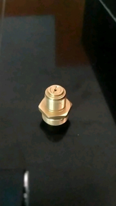Valve Pompa PCP Valve Bawah Pompa PCP Spare Part Pompa PCP