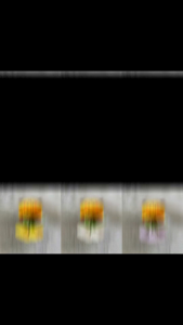 Mini Pot Bunga Kawat Bulu Mercy Model Bunga Tulip Pipe Cleaner