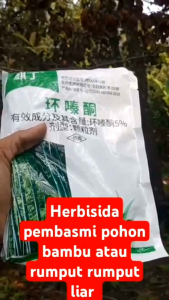 PROMO SUPER TREE KILLER HEXAZINONE 500 GRAM | PEMBASMI POHON BESAR POHON BAMBU & SAWIT DAN RUMPUT LIAR