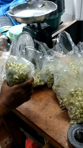 Bunga Melati | Bunga Segar