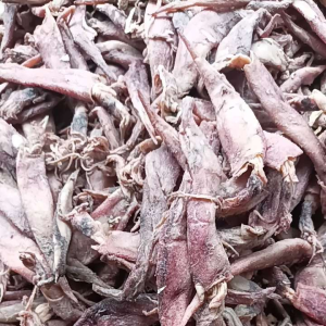 cumi asin cumi jarum asin