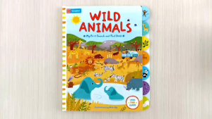 Campbell My First Search and Find Wild Animals