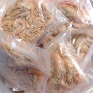 Ebi Putih Udang Kering Asin 20 gram