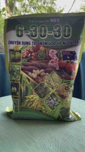 Phân vi lượng ch1 NB11 ( 6-30-30+TE ) gói 1kg - chuyên tạo mầm hoa và nuôi trái