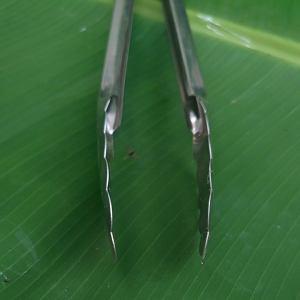 CAPITAN GORENGAN PENJEPIT MAKANAN SERBAGUNA PANJANG 30CM alat masak penjepit makanan