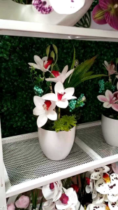 Orchid CYMBIDIUM/ GUBAHAN orchid siap