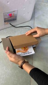 máy ấp trứng gà mini ánh dương p100