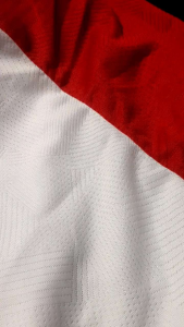 jersey supporter anak dan dewasa indonesia jersey timnas 2025 bisa custom nama
