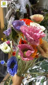 Hoa anh túc giả hoa poppy lụa đẹp cao cấp loại 1 thân phủ nhung bạc