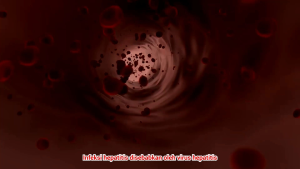 Obat Liver Hepatitis Ampuh - Obat Sirosis Hati - Liver Bengkak - Radang Hati - LIBAVER BHARATA Ampuh