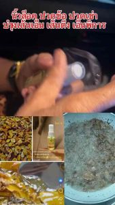 น้ำมันนวดไพลว่านเอ็นเหลือง