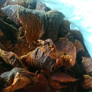 มะตาดตากแห้งThaPewTeeDry1kilo